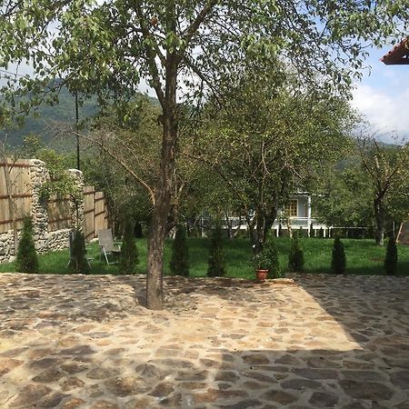 Villa Jrhogher Dilidžan Exteriér fotografie