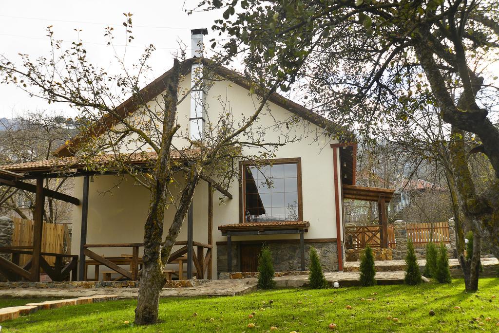Villa Jrhogher Dilidžan Exteriér fotografie
